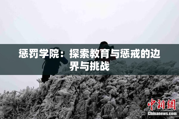 惩罚学院：探索教育与惩戒的边界与挑战
