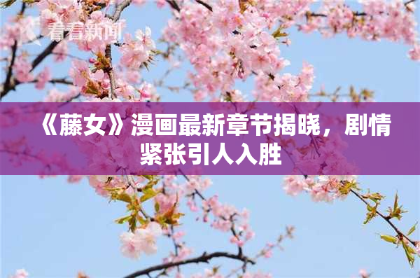 《藤女》漫画最新章节揭晓，剧情紧张引人入胜
