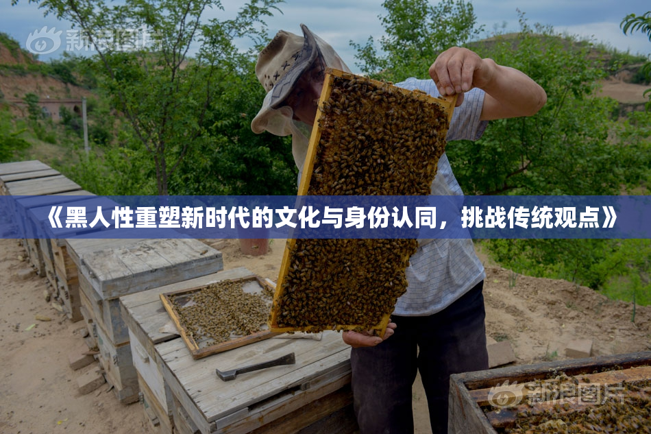 《黑人性重塑新时代的文化与身份认同，挑战传统观点》