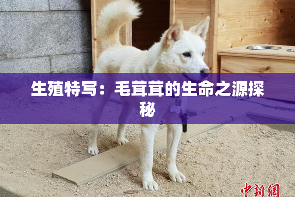 生殖特写：毛茸茸的生命之源探秘
