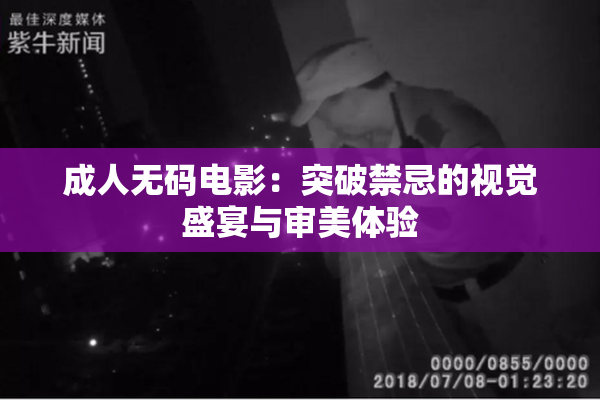 成人无码电影：突破禁忌的视觉盛宴与审美体验