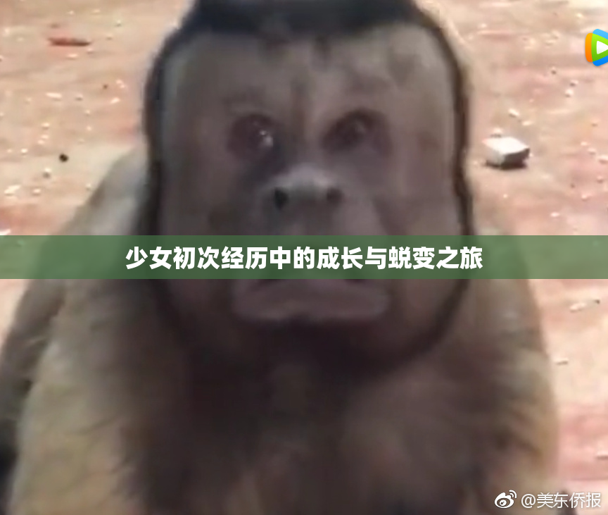 少女初次经历中的成长与蜕变之旅