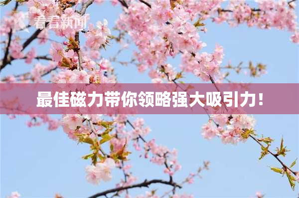 最佳磁力带你领略强大吸引力！