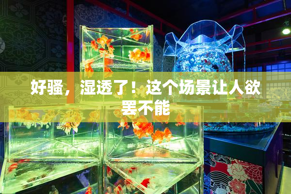 好骚，湿透了！这个场景让人欲罢不能