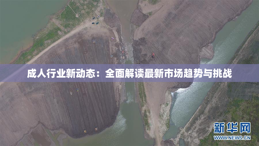 成人行业新动态：全面解读最新市场趋势与挑战
