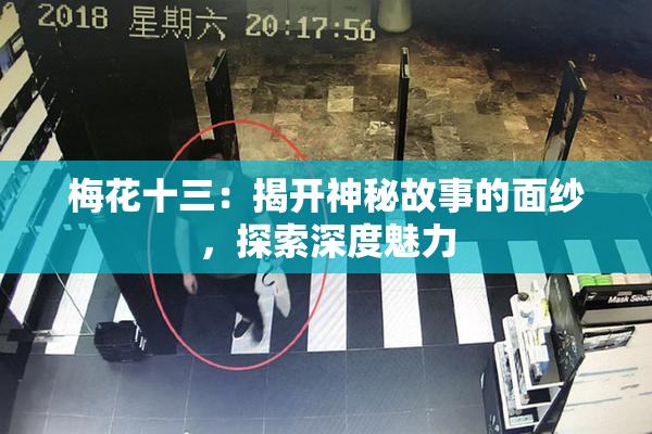 梅花十三：揭开神秘故事的面纱，探索深度魅力