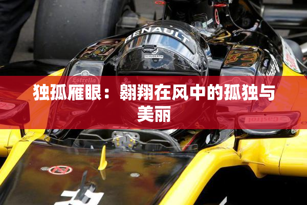 独孤雁眼：翱翔在风中的孤独与美丽