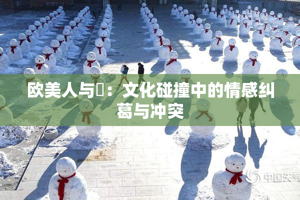 欧美人与嘼：文化碰撞中的情感纠葛与冲突