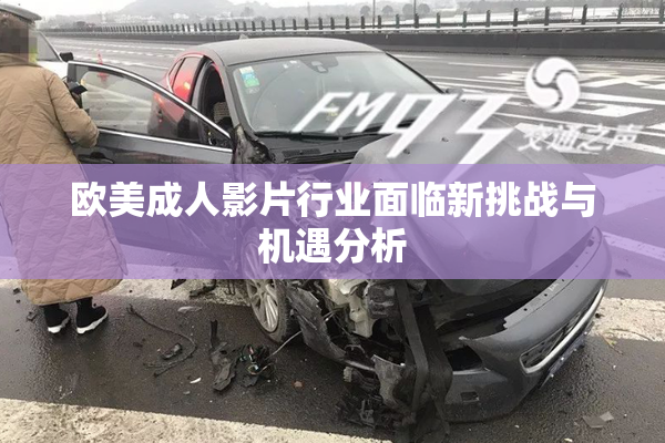 欧美成人影片行业面临新挑战与机遇分析