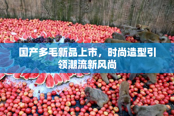 国产多毛新品上市，时尚造型引领潮流新风尚