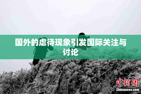 国外的虐待现象引发国际关注与讨论