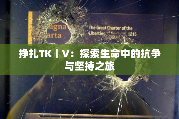 挣扎TK丨V：探索生命中的抗争与坚持之旅