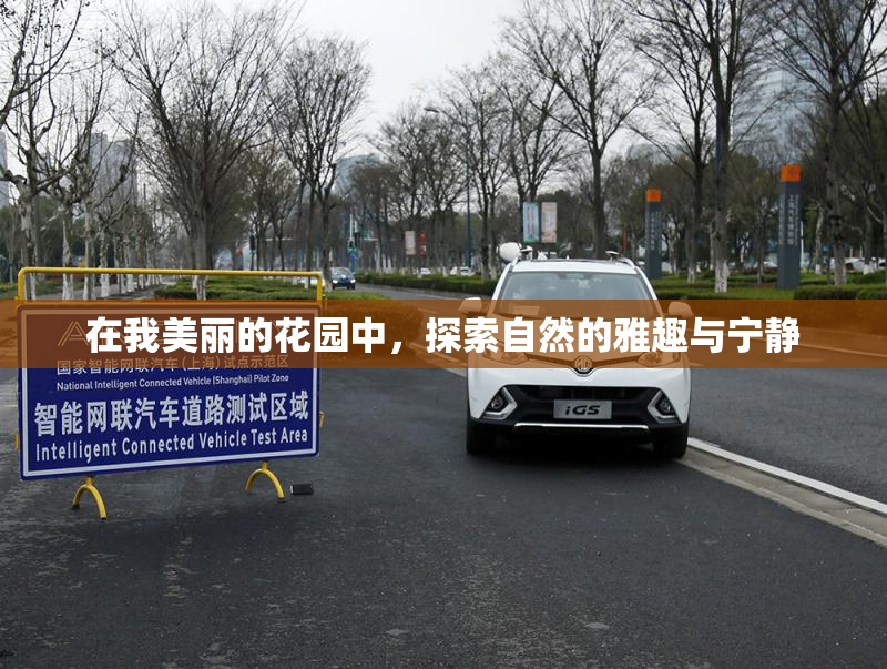 在我美丽的花园中，探索自然的雅趣与宁静