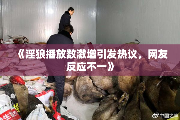 《淫狼播放数激增引发热议，网友反应不一》