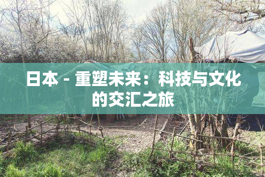 日本 - 重塑未来：科技与文化的交汇之旅
