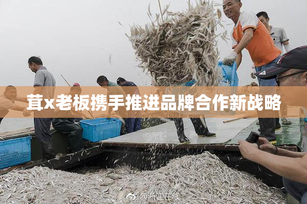 茸x老板携手推进品牌合作新战略