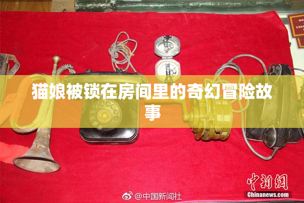 猫娘被锁在房间里的奇幻冒险故事
