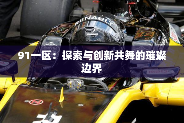 91一区：探索与创新共舞的璀璨边界
