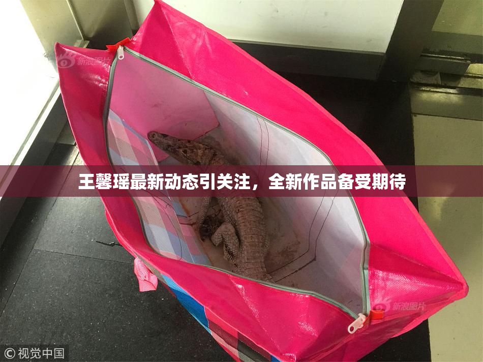 王馨瑶最新动态引关注，全新作品备受期待