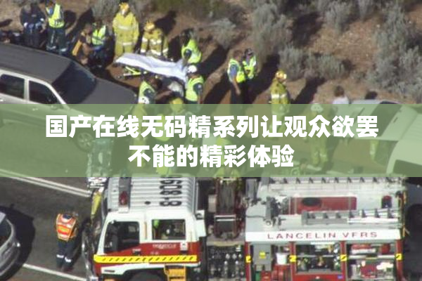 国产在线无码精系列让观众欲罢不能的精彩体验
