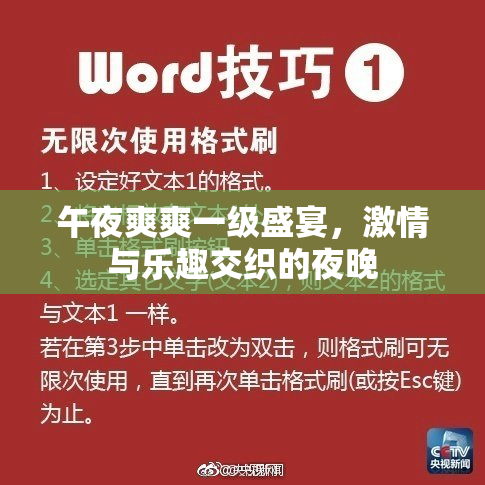 午夜爽爽一级盛宴，激情与乐趣交织的夜晚