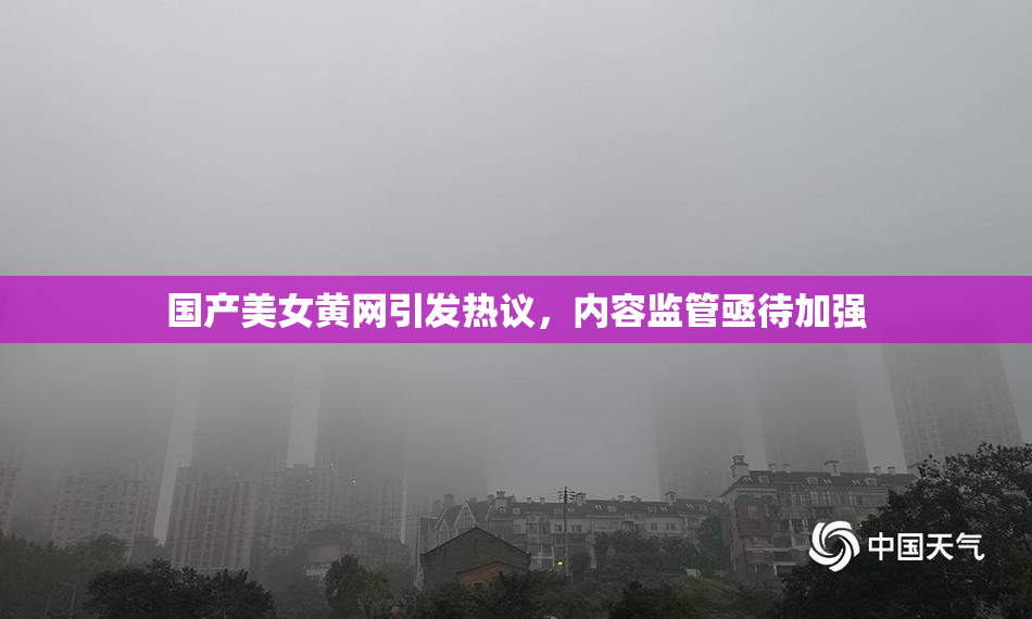 国产美女黄网引发热议，内容监管亟待加强