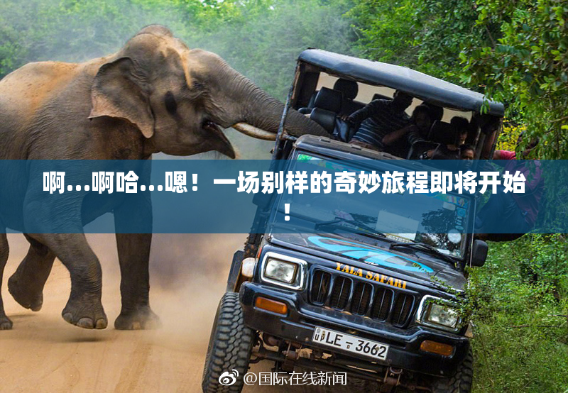 啊…啊哈…嗯！一场别样的奇妙旅程即将开始！