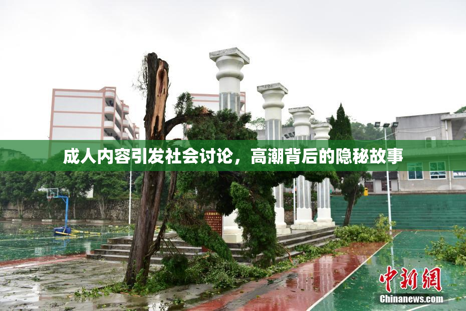 成人内容引发社会讨论，高潮背后的隐秘故事