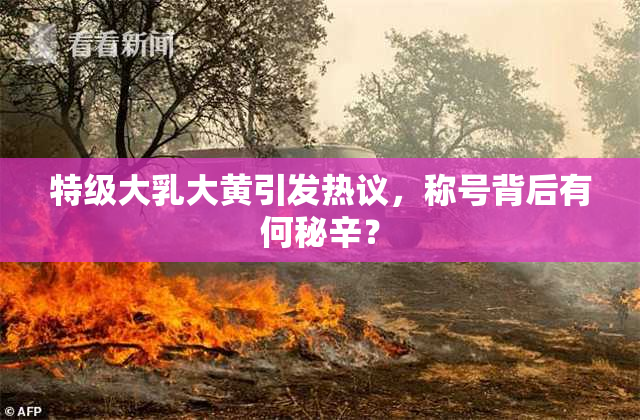 特级大乳大黄引发热议，称号背后有何秘辛？