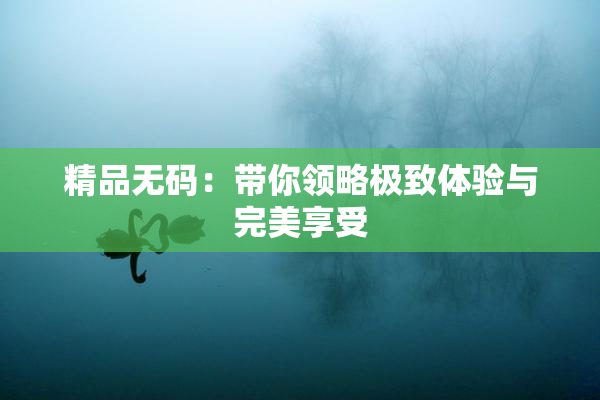 精品无码：带你领略极致体验与完美享受