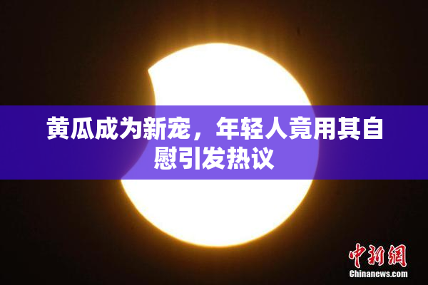 黄瓜成为新宠，年轻人竟用其自慰引发热议