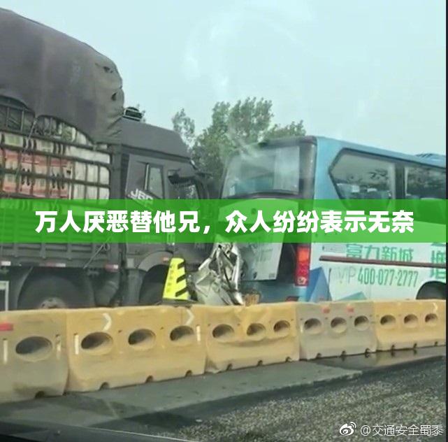 万人厌恶替他兄，众人纷纷表示无奈