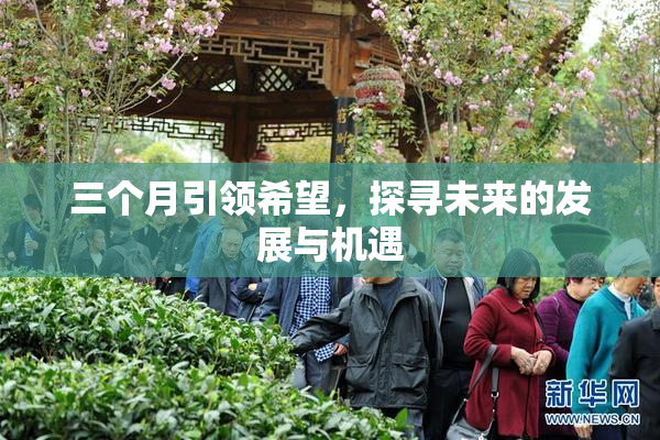 三个月引领希望，探寻未来的发展与机遇