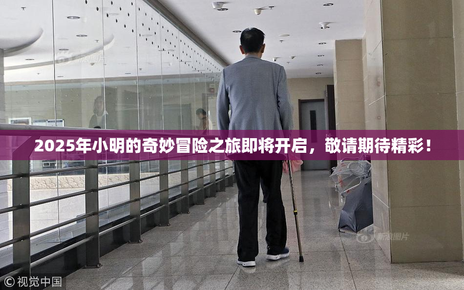 2025年小明的奇妙冒险之旅即将开启，敬请期待精彩！