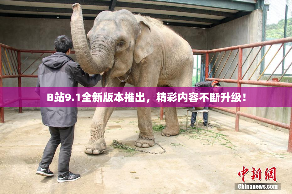 B站9.1全新版本推出，精彩内容不断升级！