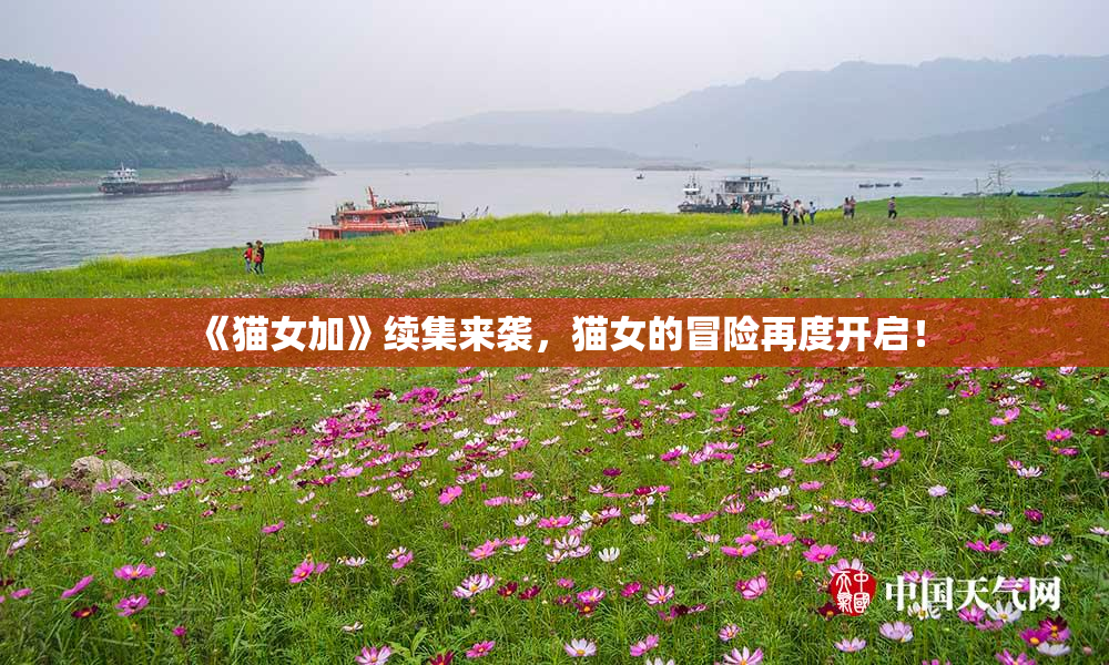 《猫女加》续集来袭，猫女的冒险再度开启！