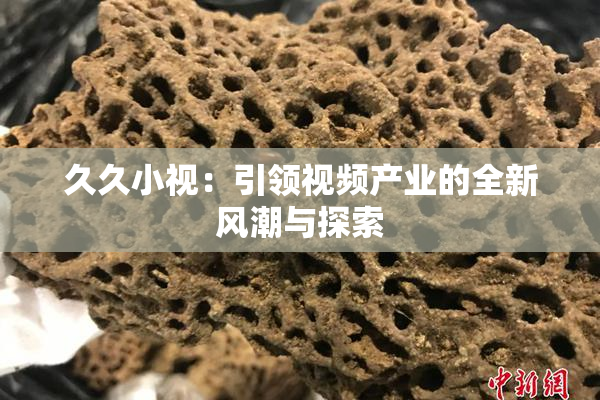 久久小视：引领视频产业的全新风潮与探索