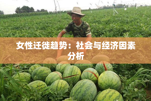 女性迁徙趋势：社会与经济因素分析