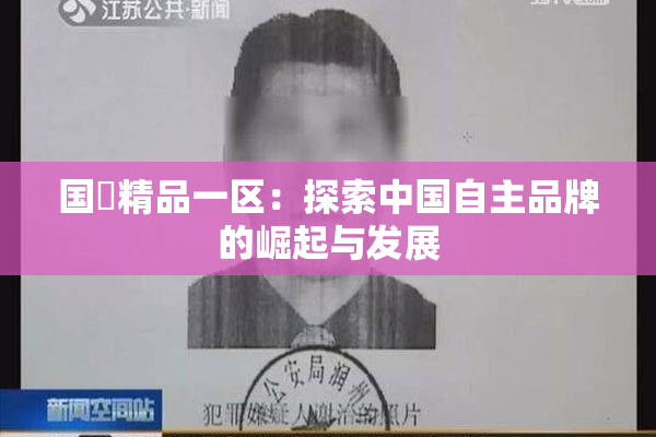 国產精品一区：探索中国自主品牌的崛起与发展