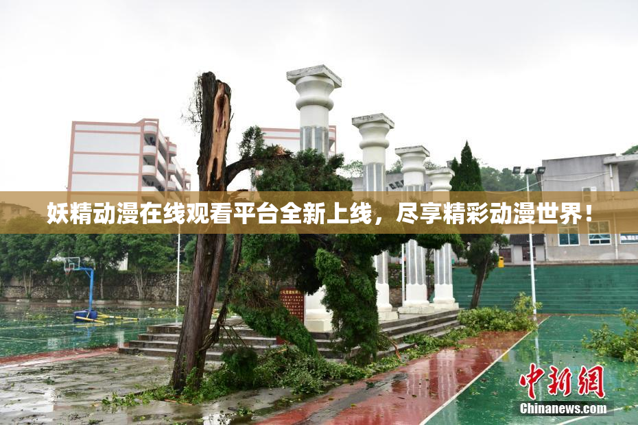 妖精动漫在线观看平台全新上线，尽享精彩动漫世界！