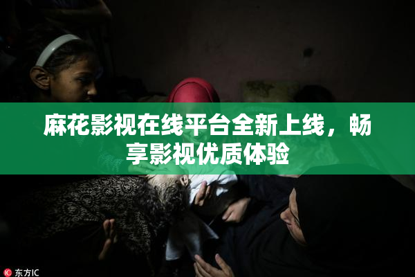 麻花影视在线平台全新上线，畅享影视优质体验