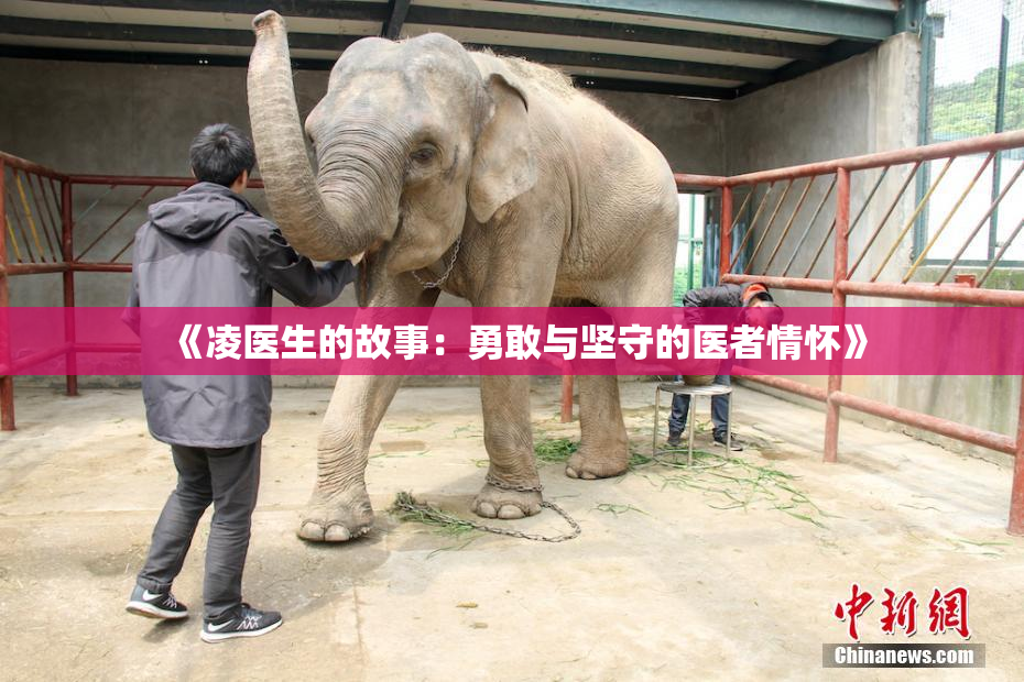 《凌医生的故事：勇敢与坚守的医者情怀》