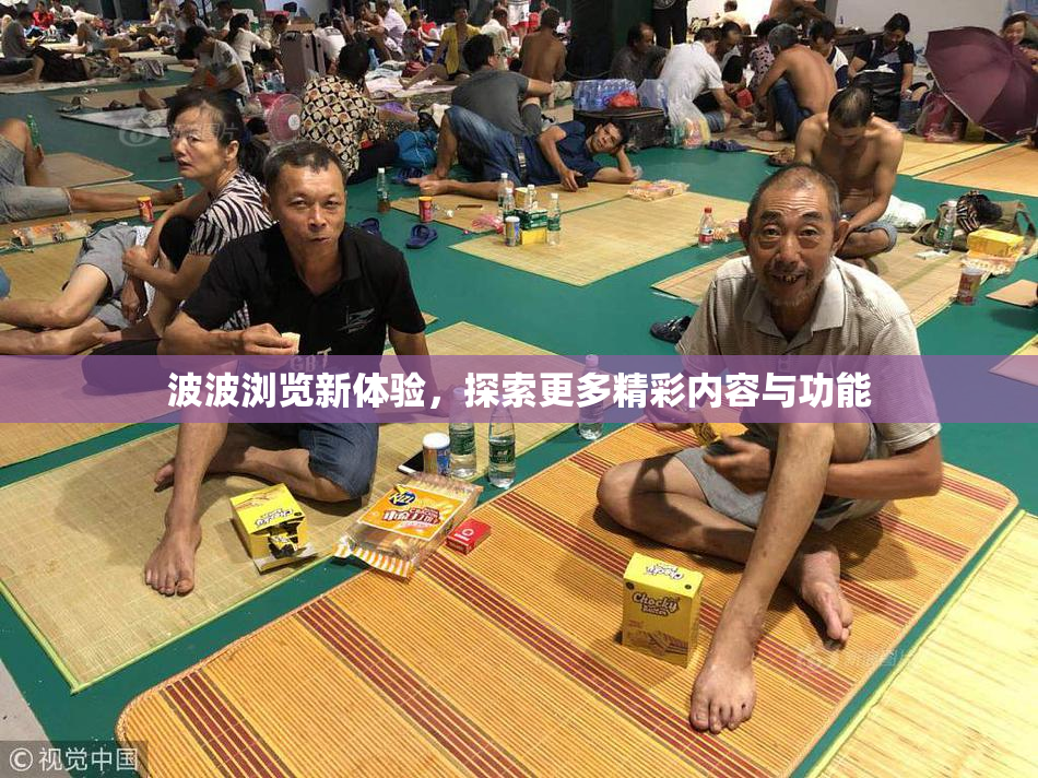 波波浏览新体验，探索更多精彩内容与功能