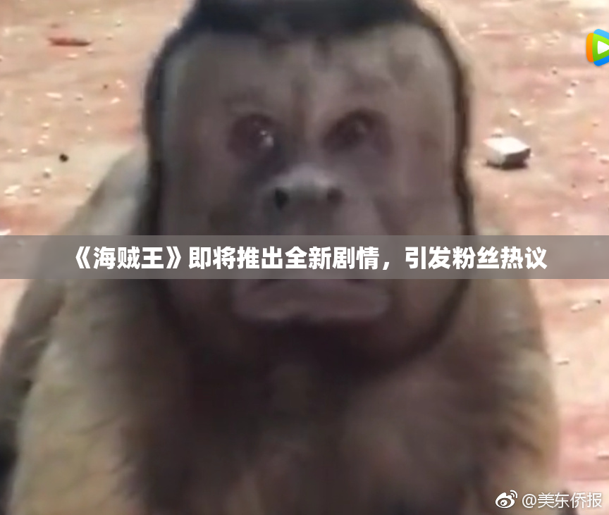 《海贼王》即将推出全新剧情，引发粉丝热议