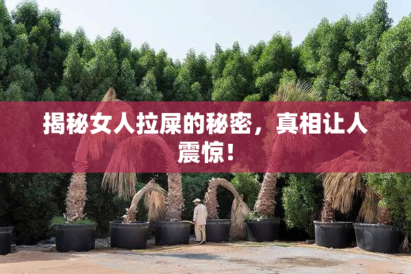 揭秘女人拉屎的秘密，真相让人震惊！