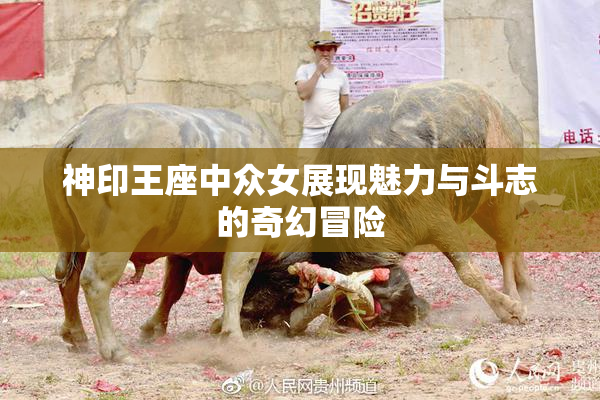 神印王座中众女展现魅力与斗志的奇幻冒险