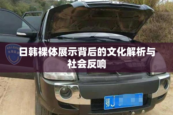 日韩裸体展示背后的文化解析与社会反响