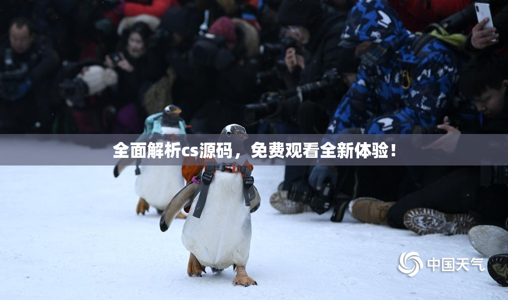 全面解析cs源码，免费观看全新体验！