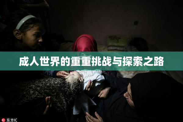 成人世界的重重挑战与探索之路