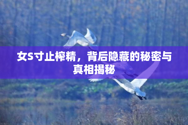 女S寸止榨精，背后隐藏的秘密与真相揭秘